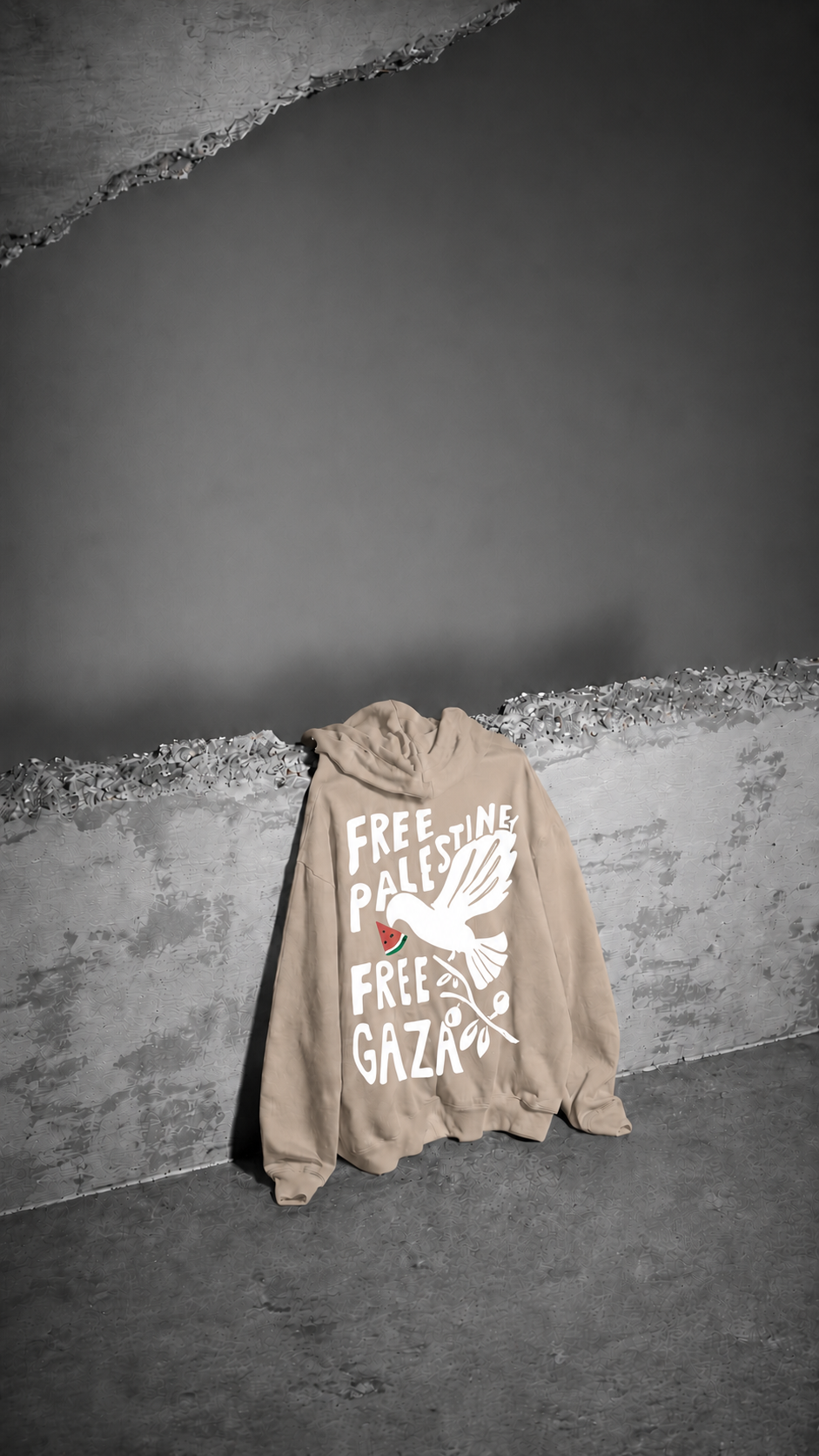 Beyond Borders Oversized Hoodie